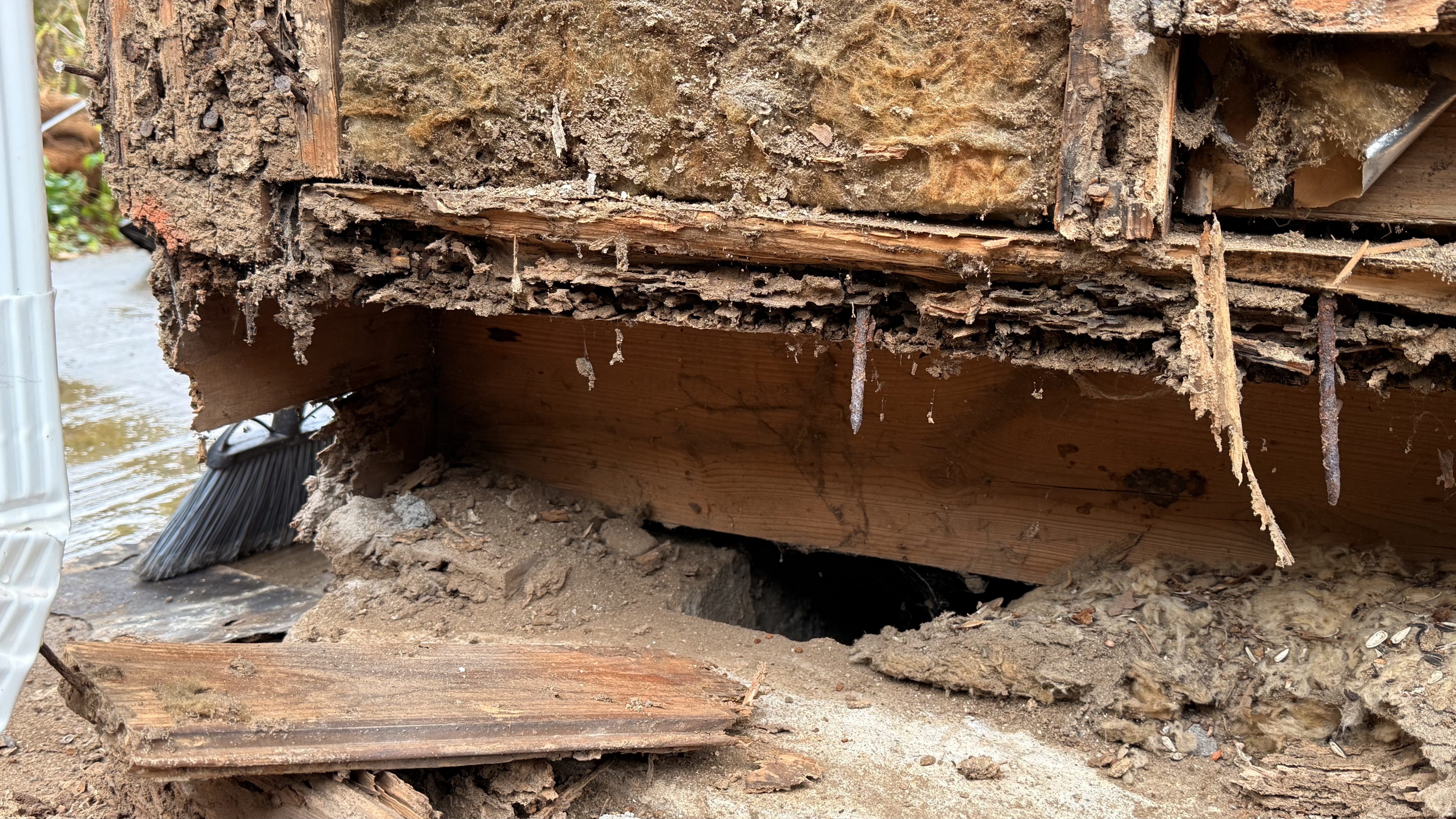 Termite damaged wood beam